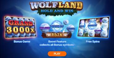 Wolf Land: Hold and Win: Уникальные функции